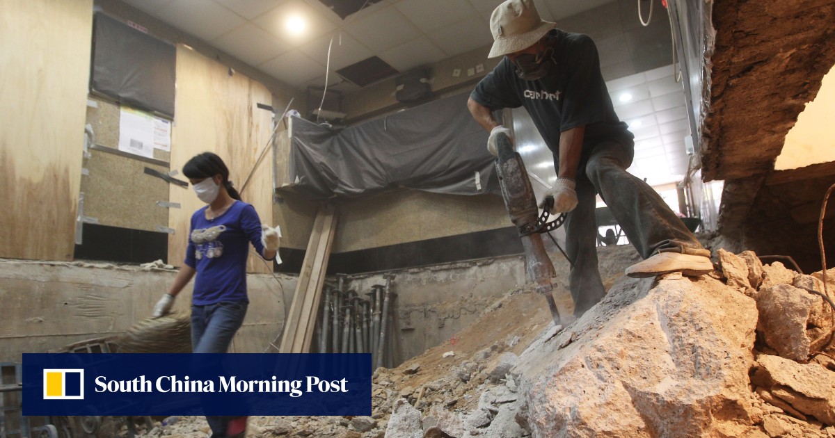 Urban noise pollution how loud city sounds harm animals and threatens the survival of some