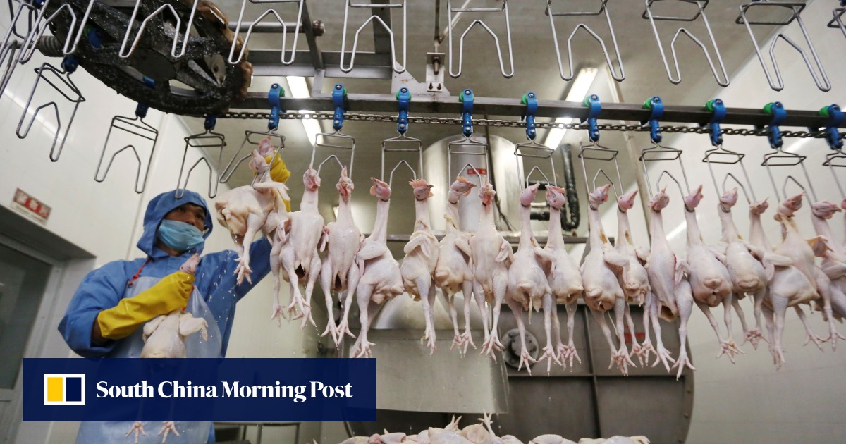 China S Rising Prices Driven By Pork Crisis Leaving A Bad Taste In