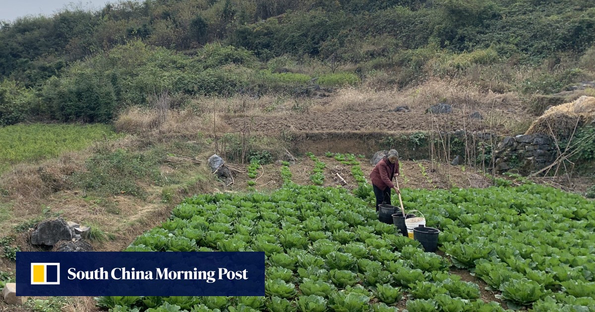 Converting rural China to the zero waste revolution, one village at a time - South China Morning Post