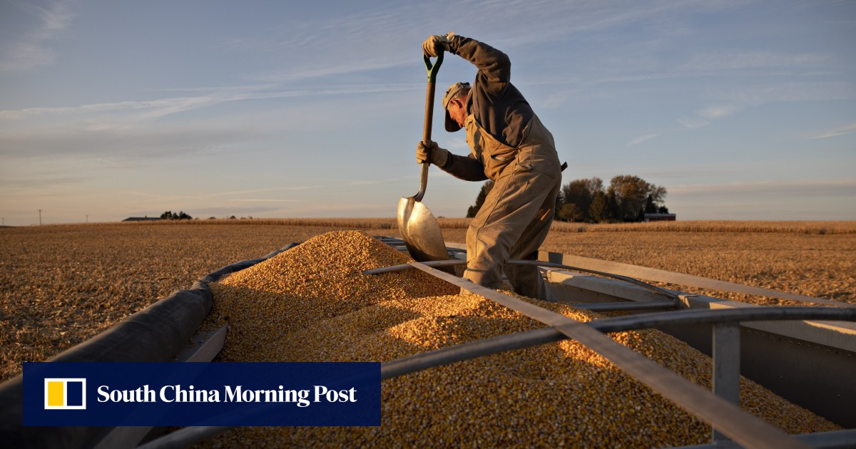 Donald Trump Bypasses Congress To Give Us 20 Billion To Farmers