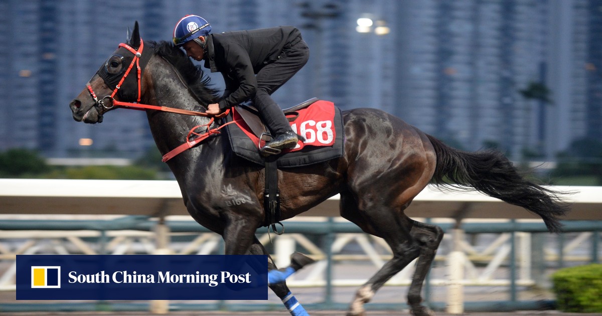 Hong Kong horse racing death sparks call for investigation after horse shatters its leg during