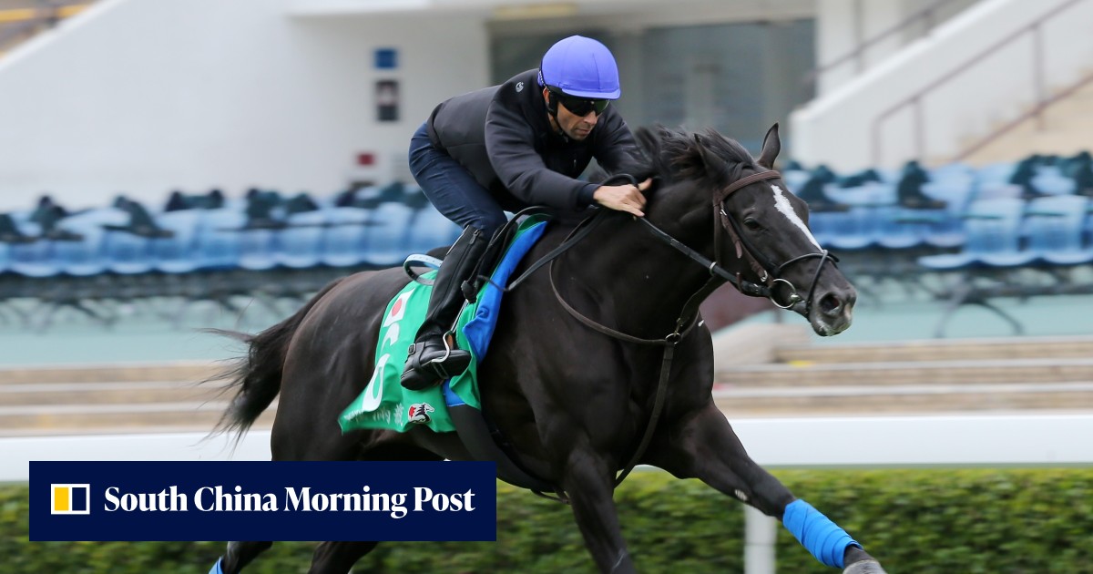 HKIR: Joao Moreira flies under the radar in hunt for Vase Glory | HK ...