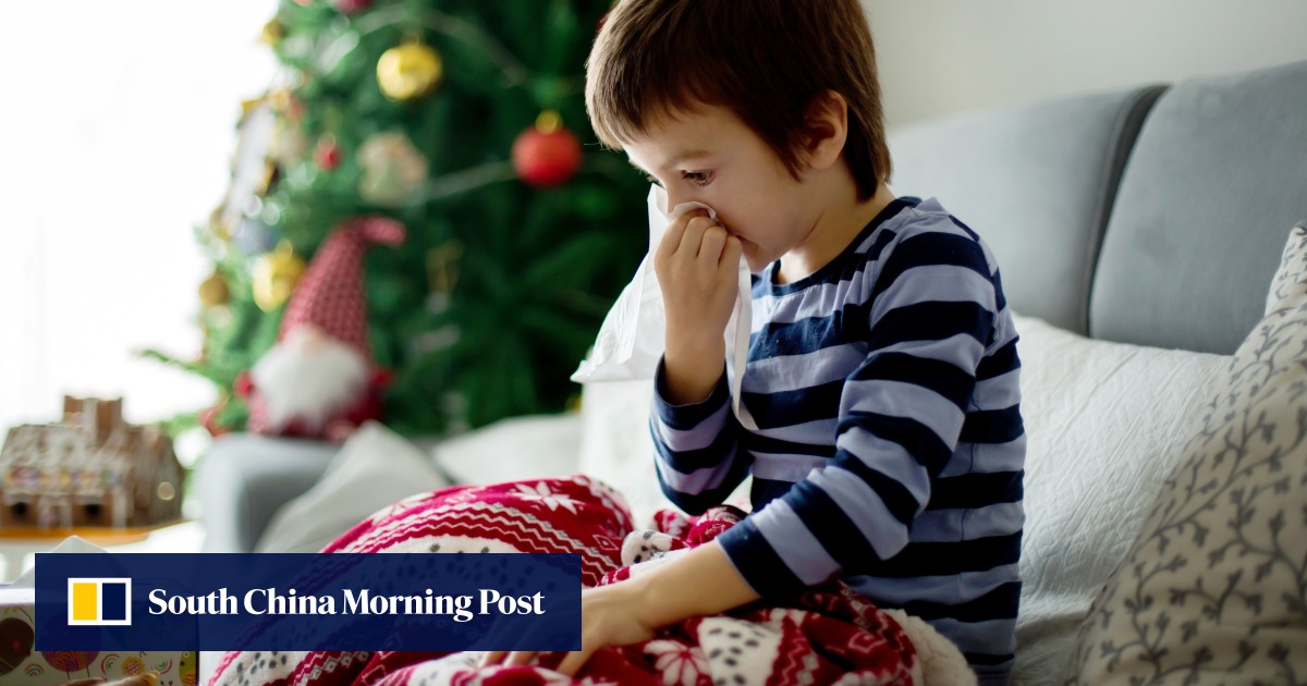 Christmas tree mould and asthma how to avoid your decorations
