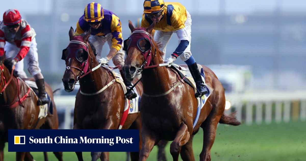 John Moore’s ‘horses for courses’ gun Styling City returns to favourite ...