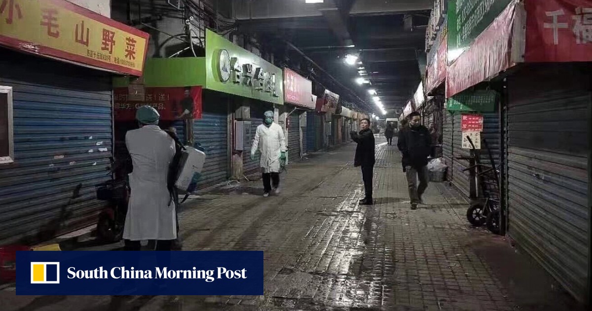 Hong Kong takes emergency measures as mystery ‘pneumonia’ infects