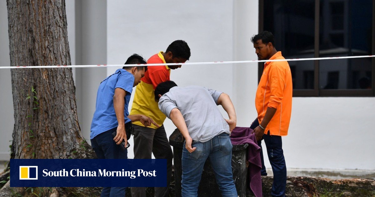 Baby wrapped in plastic bag found alive in Singapore rubbish bin