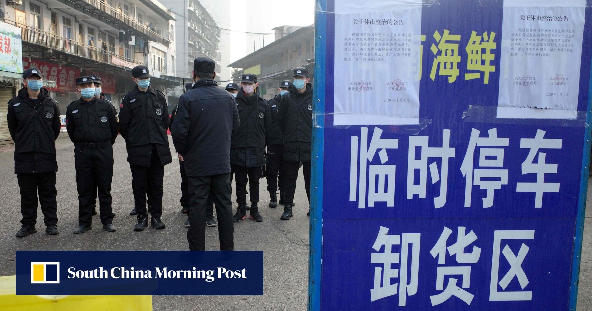China virus outbreak linked to a seafood market, not spreading, WHO reports - South China Morning Post thumbnail