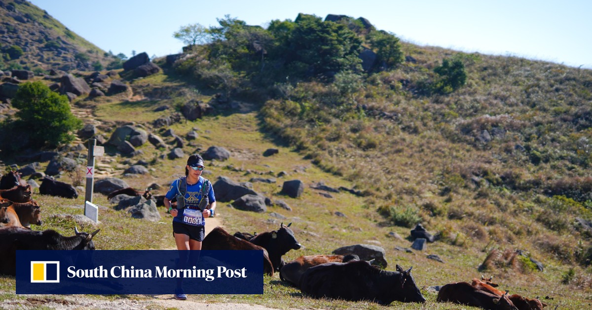 Is this Hong Kong’s most unique trail race? Runners sail between four