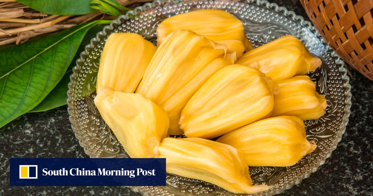Jackfruit, vegan meat substitute used for pulled pork, tacos, even fish
