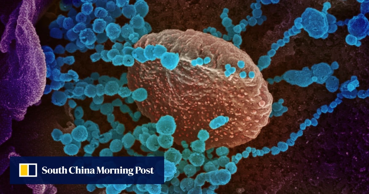 Don’t bank on coronavirus epidemic easing in the summer, scientists say - South China Morning Post thumbnail
