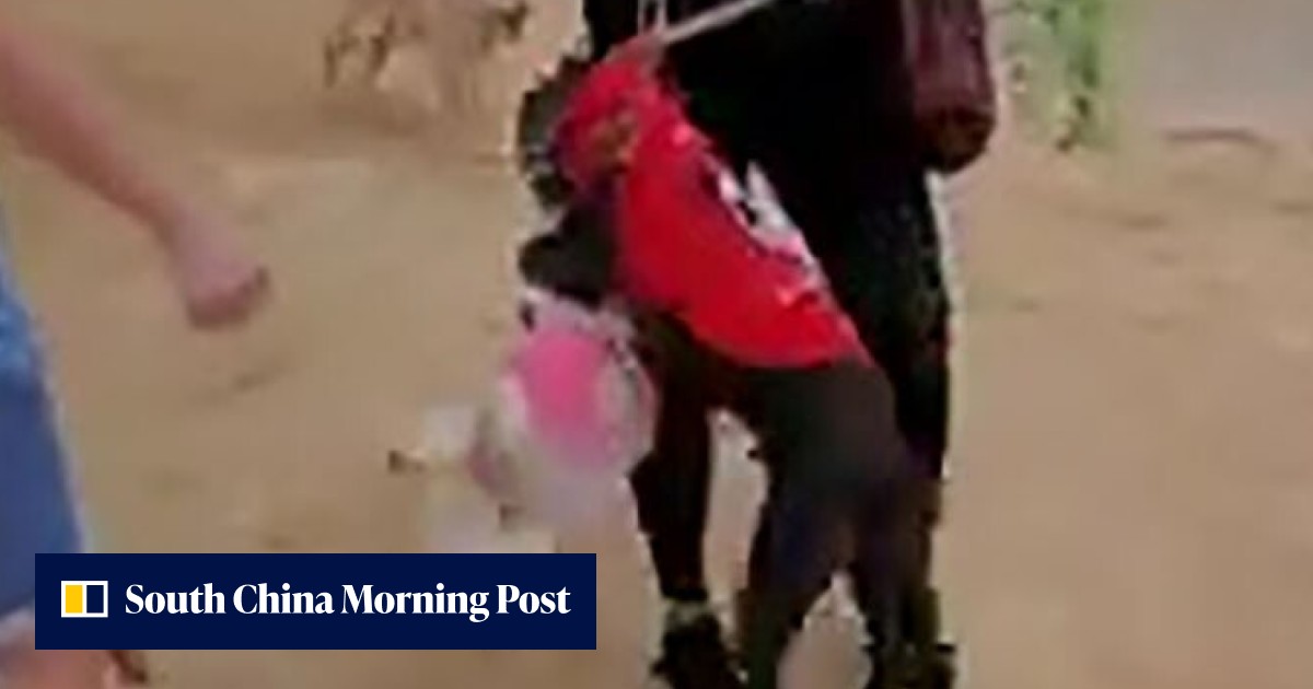 Hong Kong woman, 64, arrested over animal cruelty after video of her ...