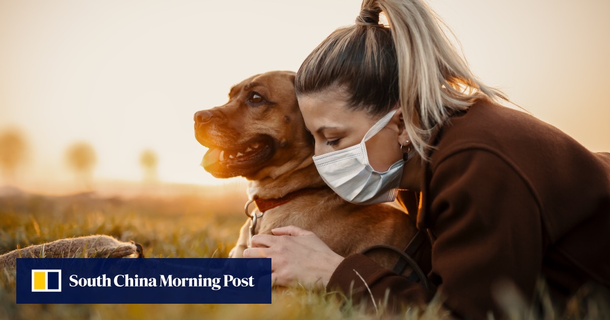 Pet foster care a winwin, good for mindfulness and