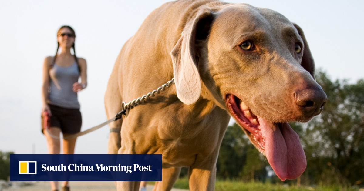 How to prevent heat exhaustion and heatstroke when you are