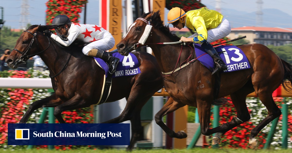 Jockey Club Announces Bumper Simulcast Schedule For Remainder Of Season Hk Racing South China Morning Post