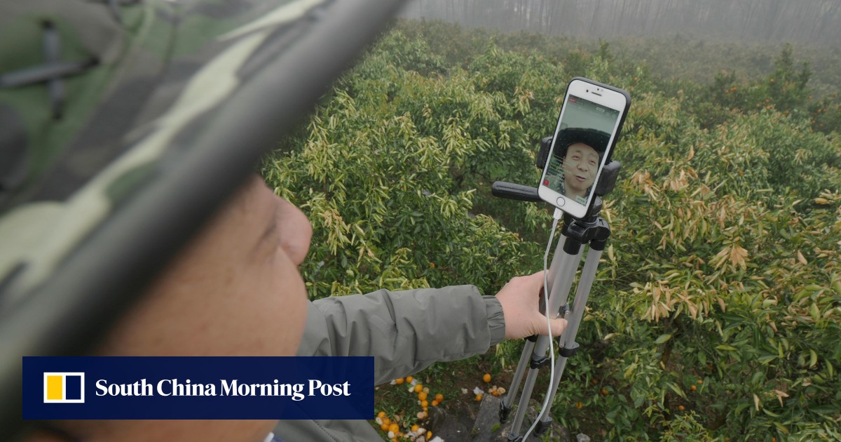 China’s talent gap in rural e-commerce projected to hit 3. 5 million by 2025