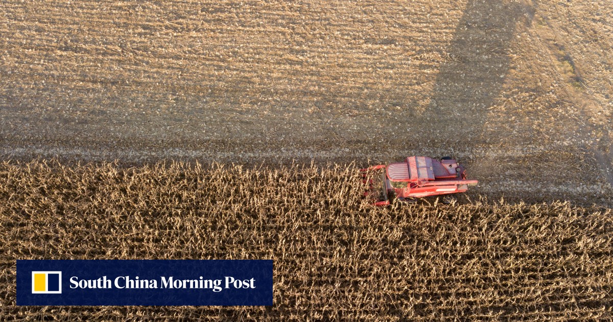 China corn video stokes food security fears amid Covid-19, flooding, drought - South China Morning Post