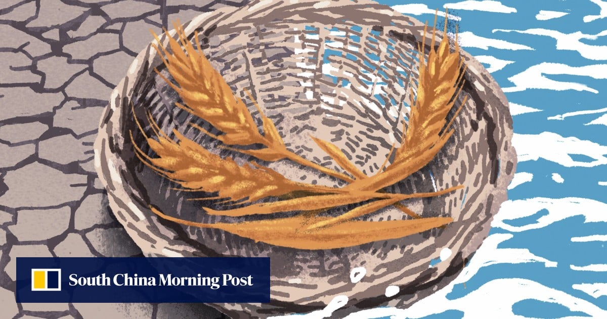 Drought, heavy rains ignite fear of China food crisis despite bumper crops - South China Morning Post
