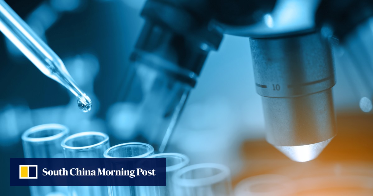 can transform bricks into ‘batteries’ | South China Morning Post Research team says it can transform bricks into ‘batteries’