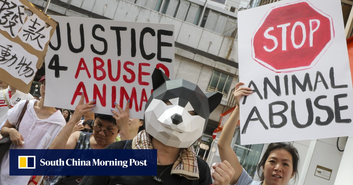 Hong Kong must not let animal cruelty go unpunished | South China