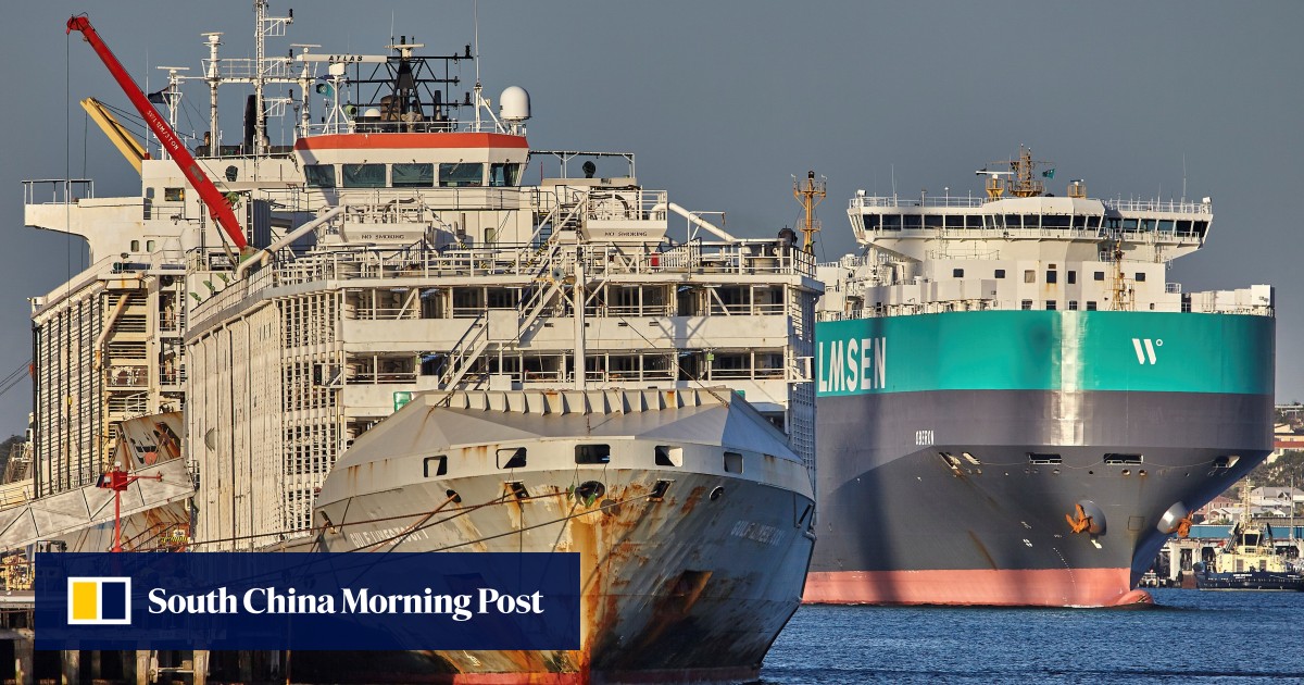 Capsized cattle ship renews New Zealand, Australia live animal export