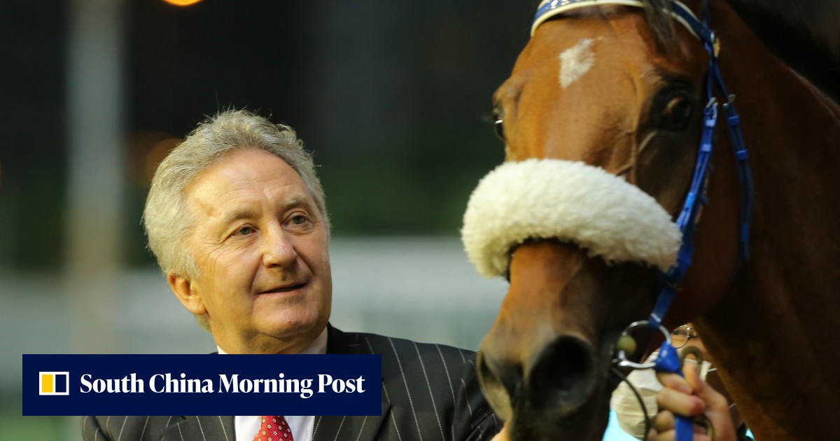 David Ferraris identifies the horse to help him land first victory: ‘he ...