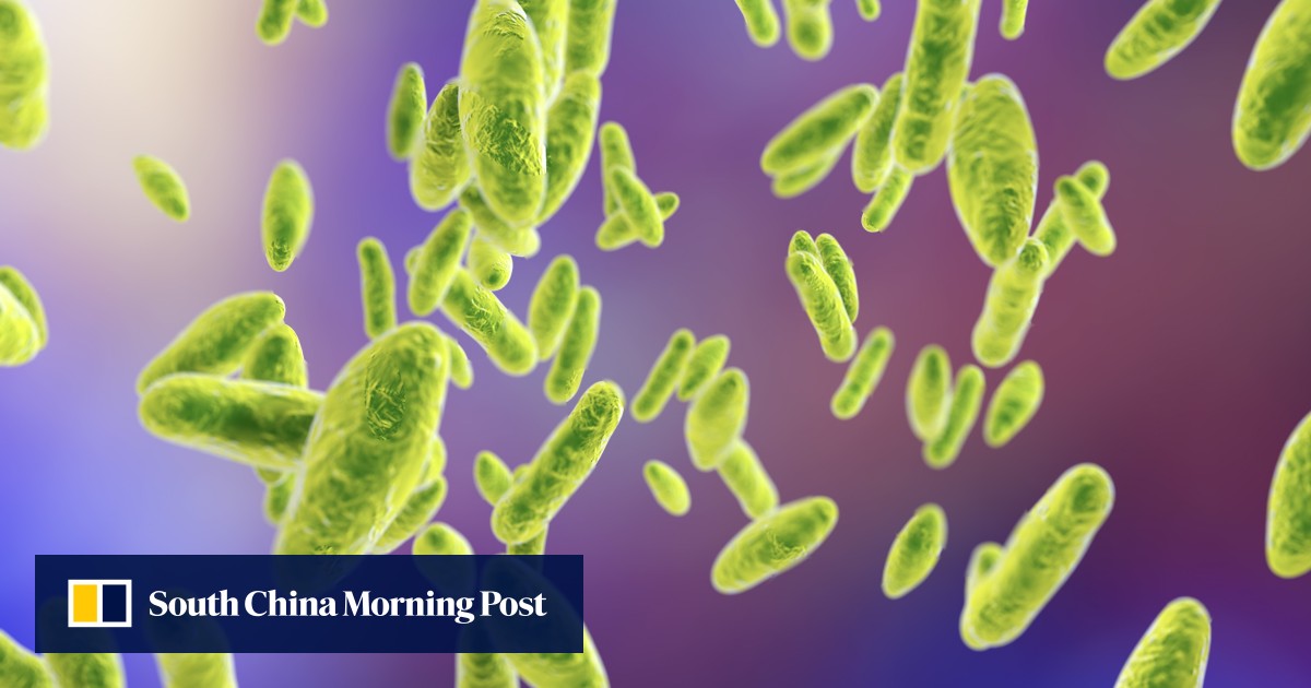 Exhaust fumes from Chinese animal vaccine plant leave thousands sick