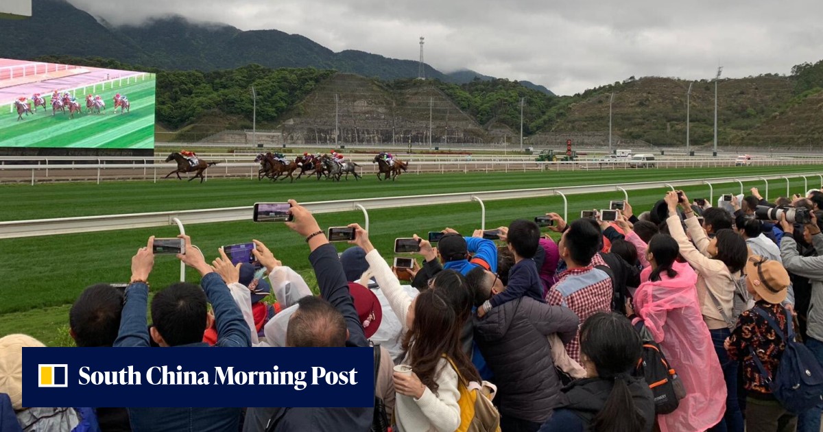 Jockey Club can play key role in China’s bold plan to promote horse ...