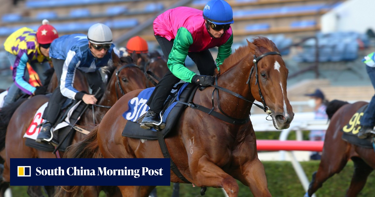 Zac Purton locks in three HKIR rides, looks forward to Joyful Fortune ...