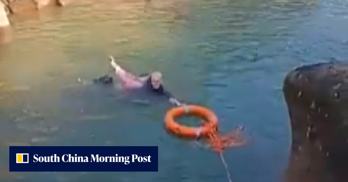 British diplomat Stephen Ellison hailed as hero in China after rescuing ...