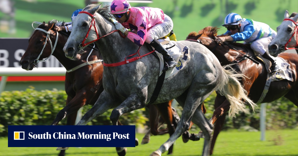HKIR: Hot King Prawn eyes elusive Group One as Classique Legend ...