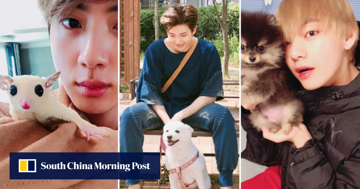 BTS members love their pets and post cute dog photos to Instagram just