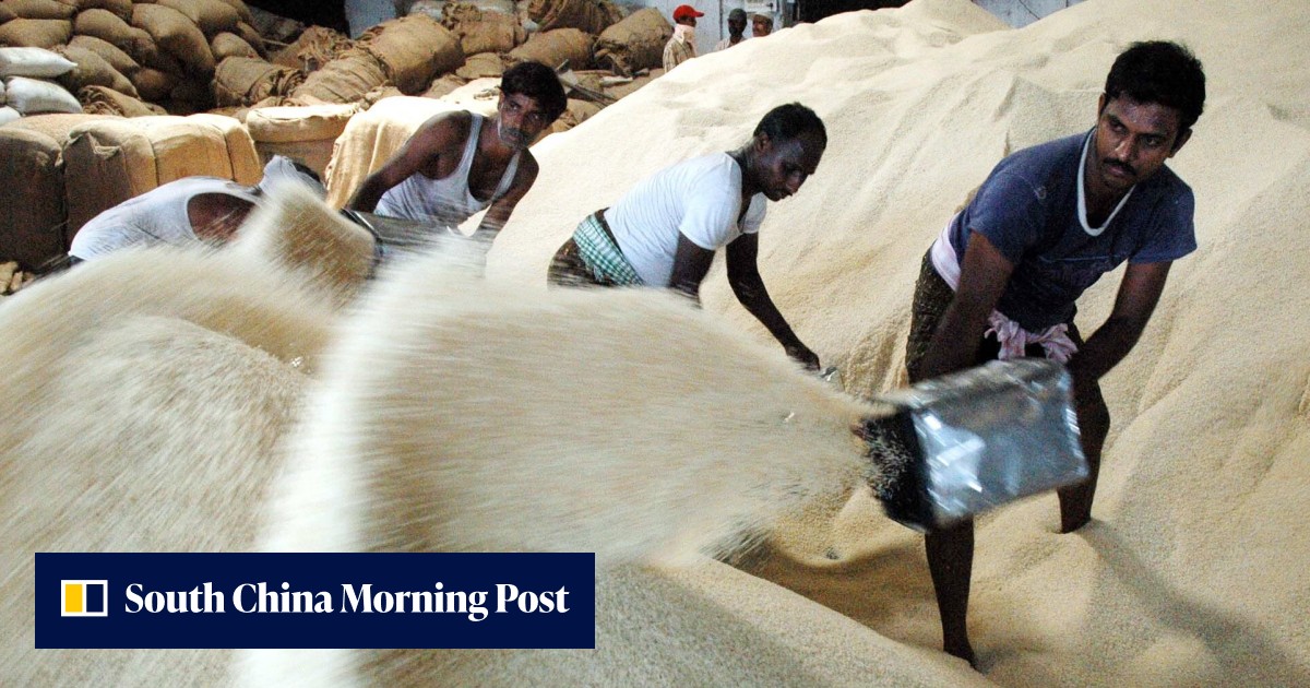 Oh no EU don’t: India’s basmati rice claim leaves Pakistan steaming ...