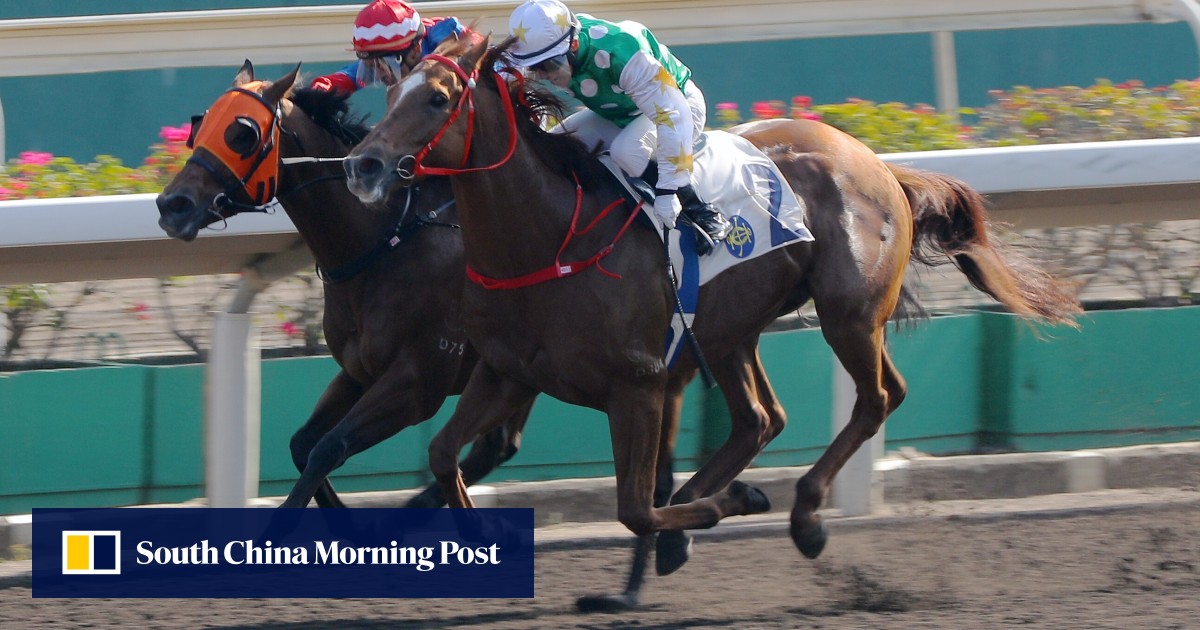 Alfred Chan snares much-needed winner at Sha Tin: ‘I keep asking myself ...