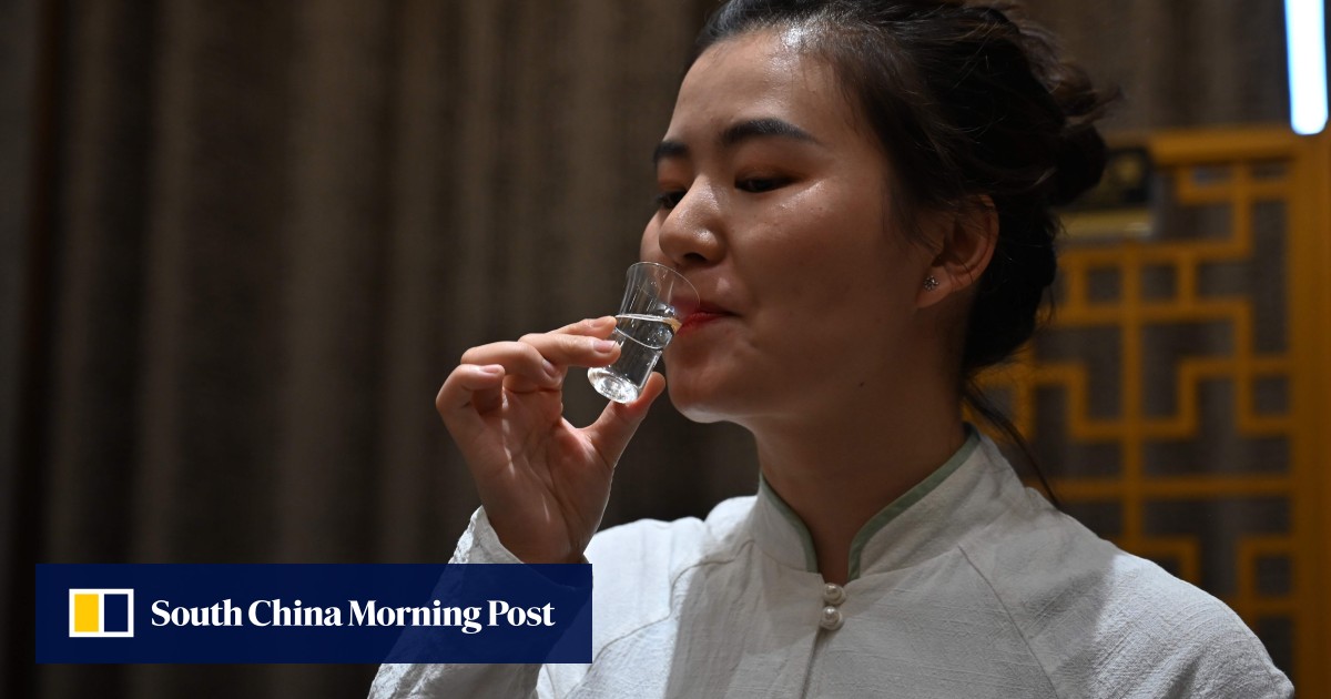 Shede Baijiu (투랑쉬 舍得酒)