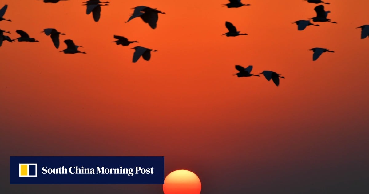 Outcry over revived dam plans for China’s biggest freshwater lake - South China Morning Post