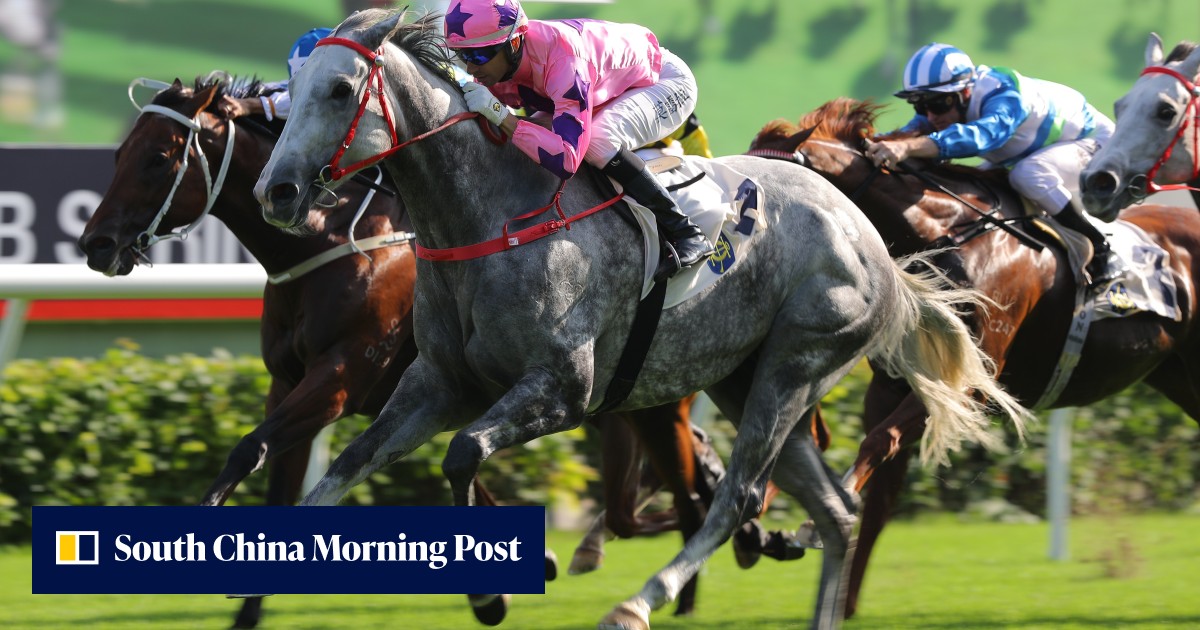 Hot King Prawn will never get a better chance to taste Group One glory ...