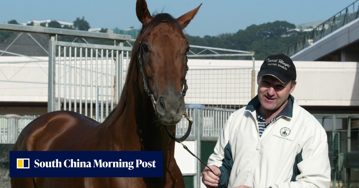 David Hayes looks to cap off a big week for the family business with ...