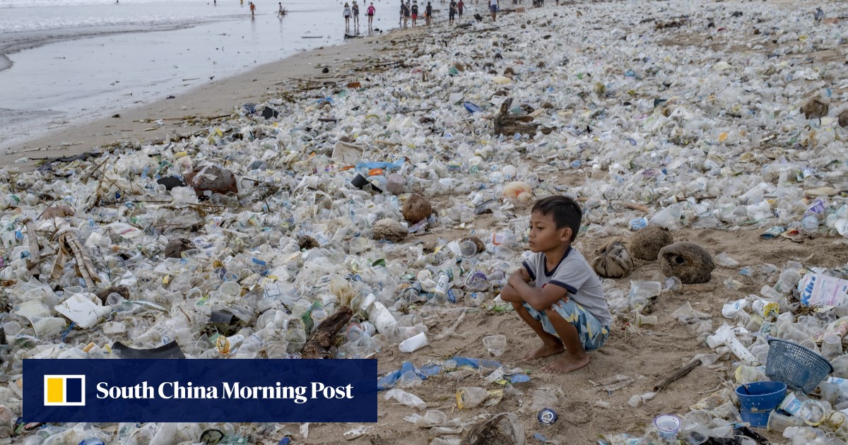 Plastic Pollution Chinese Scientists Identify Polythene eating Bacteria South China Morning Post