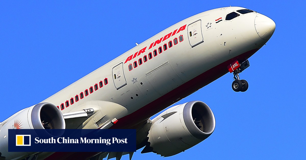 US-bound Air India flight returns to New Delhi after bat found in ... US-bound Air India flight returns to New Delhi after bat found in ...
