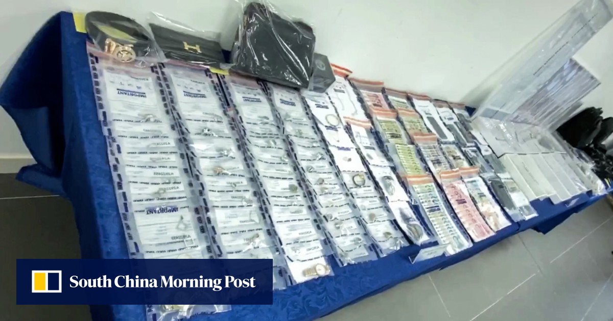 Hong Kong police arrest 11 over break-ins, including 9 mainland Chinese ...