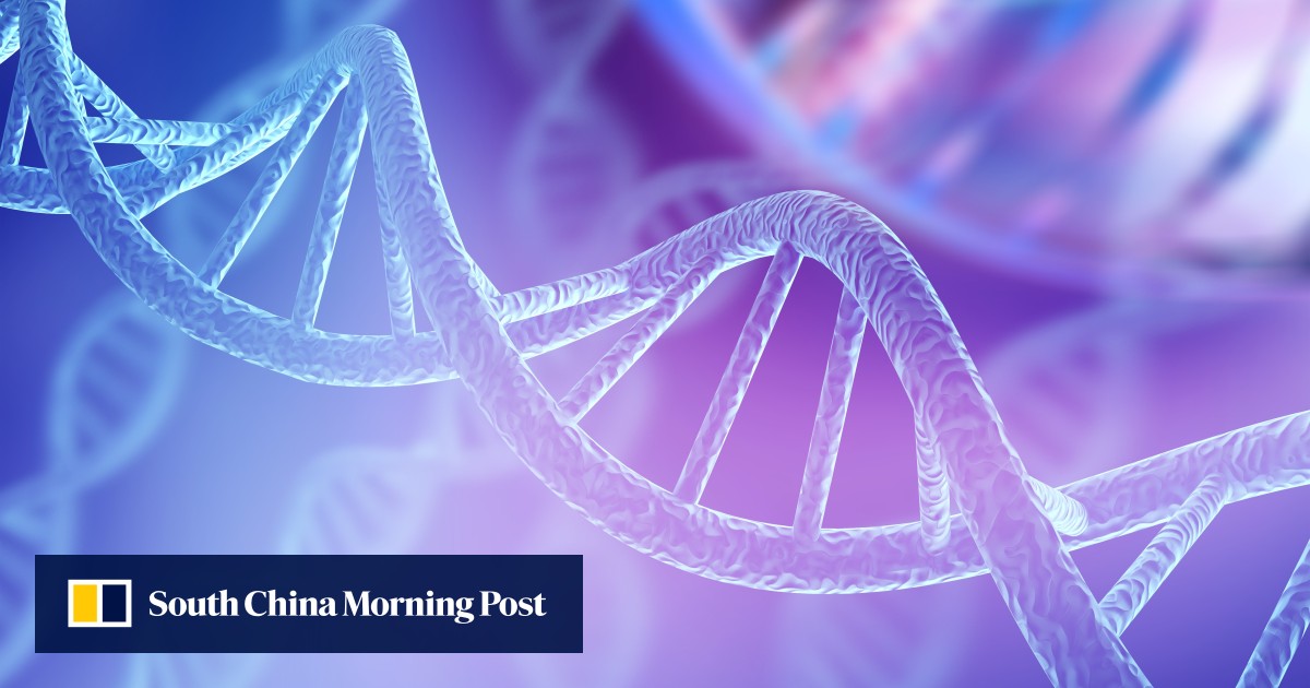 Scientists find differences between northern Chinese, Koreans