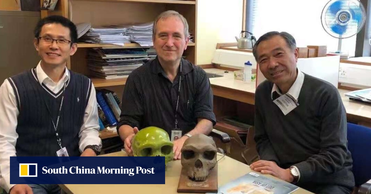 When scientists came face to face with China's Dragon Man fossil for the first time - Vimarsana News