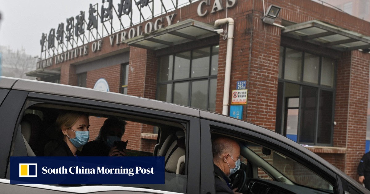 6f6cbf0c-f9a8-11eb-aa37-9736ba6f9b4b_ima