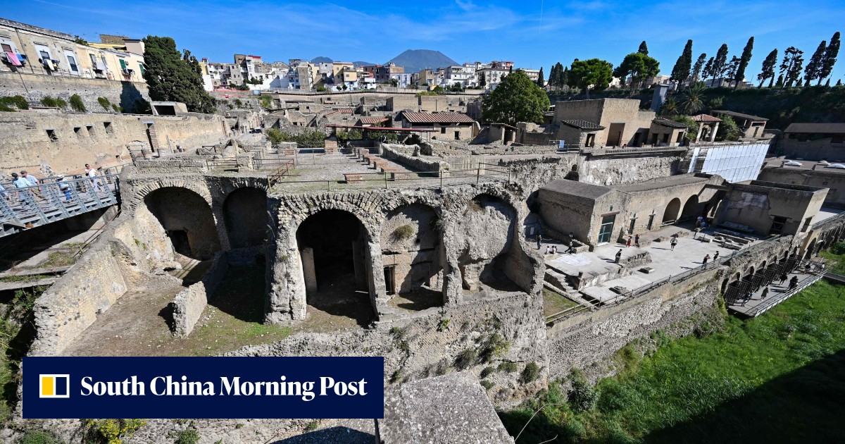 Shellfish behaviour! How men hogged seafood in ancient Roman city ...