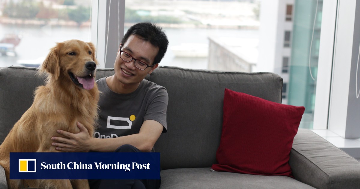 Online pet insurer OneDegree raises US28 million amid strong investor