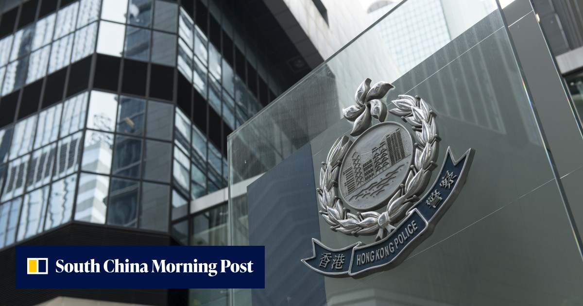 Hong Kong, mainland Chinese police arrest 22 in cross-border crackdown ...