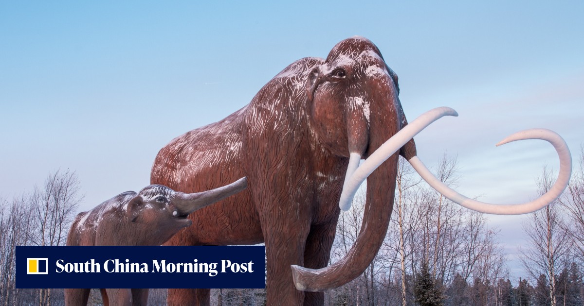Bioscience firm claims will bring back extinct woolly mammoth | South ...