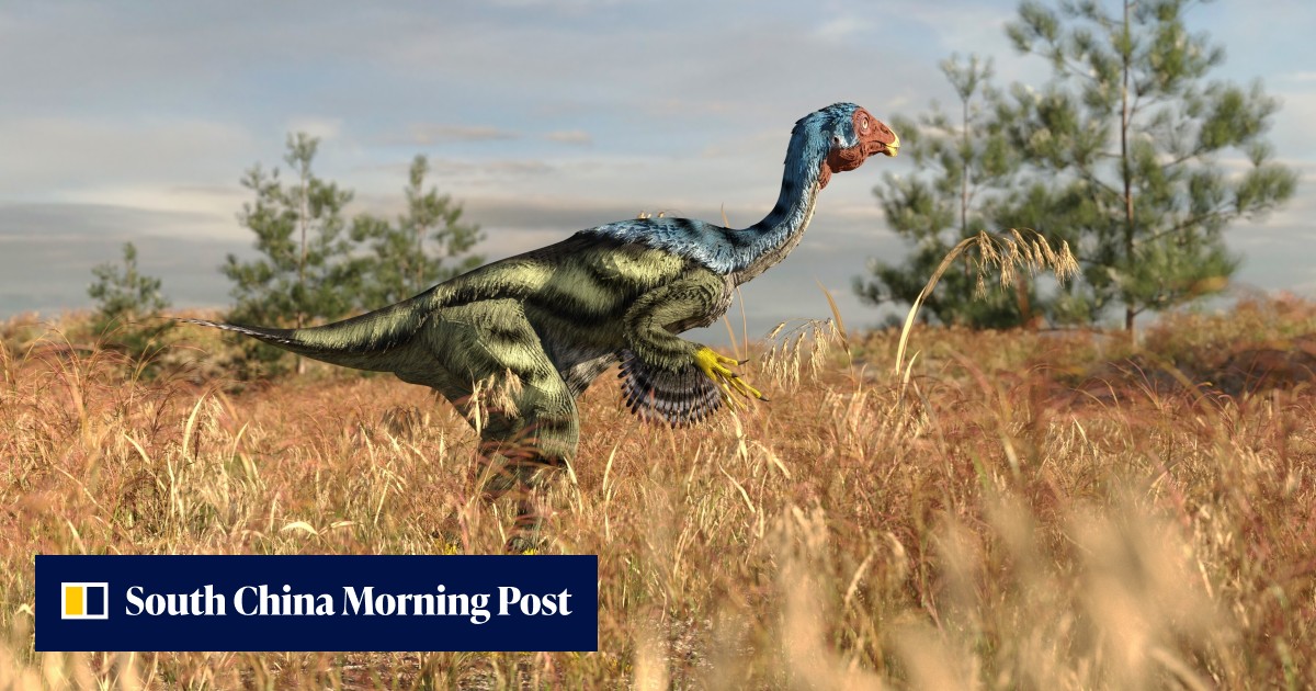 A tantalising discovery in China hints at the possibility of one day ...