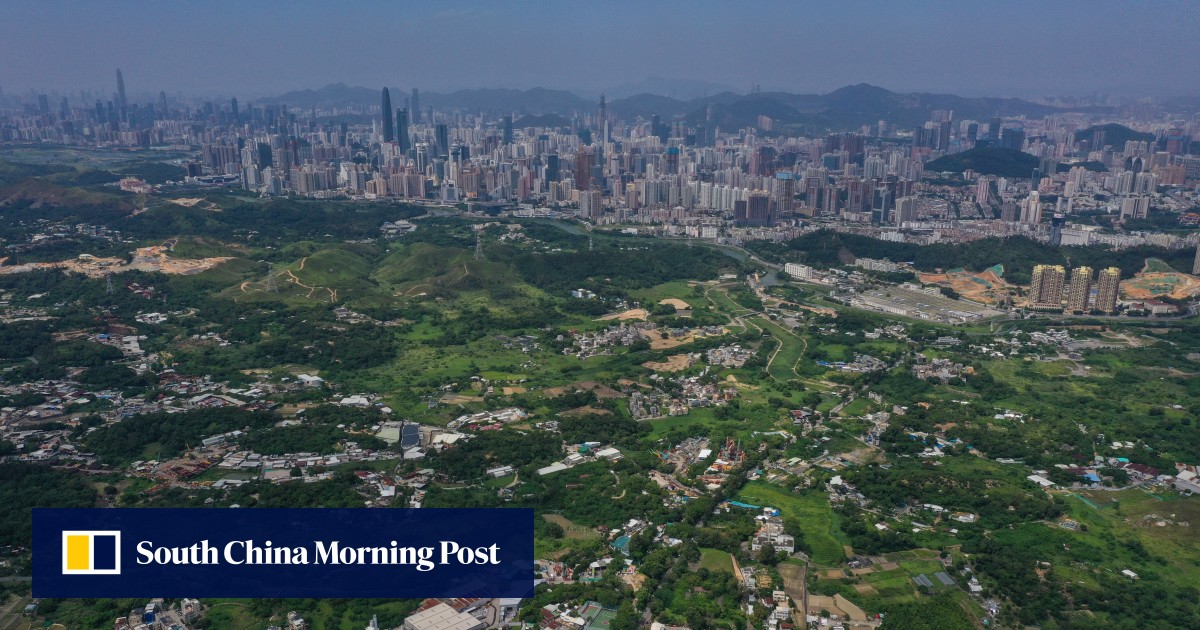 Hong Kong universities urged to play bigger role in southern China integration