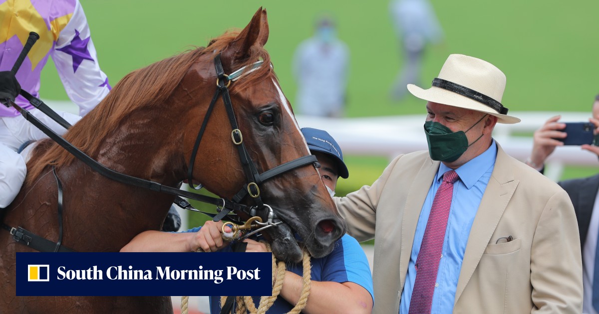 David Hayes wants to send Lord Thunder Down Under for rehab | HK Racing ...